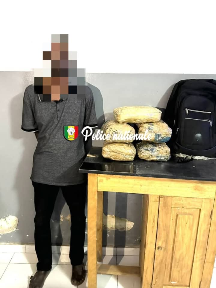 Sédhiou : un passager à bord d'un minibus interpellé avec 5 blocs de chanvre indien