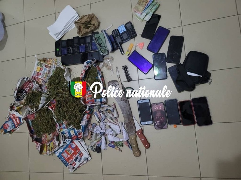 ​Thiès : 108 kilogrammes de chanvre indien saisis par la Brigade régionale des stupéfiants