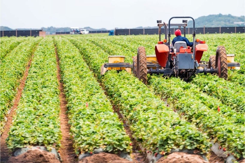 Construction de 120 entrepôts agricoles : l'Arcop relève des zones d'ombres autour d'une offre spontanée de 85,5 milliards de FCFA Construction de 120 entrepôts agricoles : l'Arcop relève des zones d'ombres autour d'une offre spontanée de 85,5 milliards de FCFA