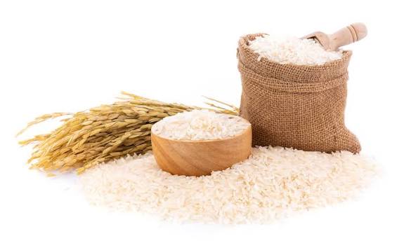 Riz local : l’État fixe le prix à 350 F CFA le kilo pour soutenir les producteurs