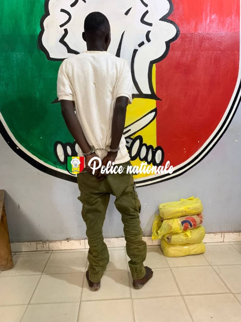 Kaolack : la Police interpelle un individu en possession de 4 blocs de chanvre indien