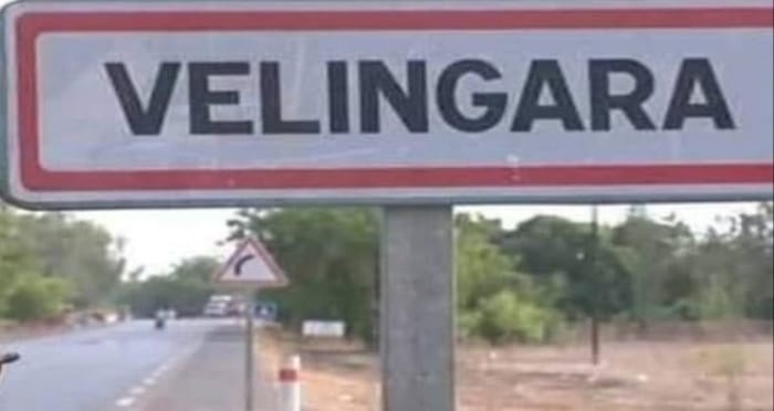 Fièvre de la Vallée du Rift : Kolda entre en épidémie après la détection d’un premier cas humain à Vélingara