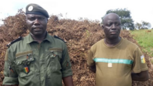 Autosuffisance alimentaire : la prison de Kolda met en valeur un champ de 5 hectares