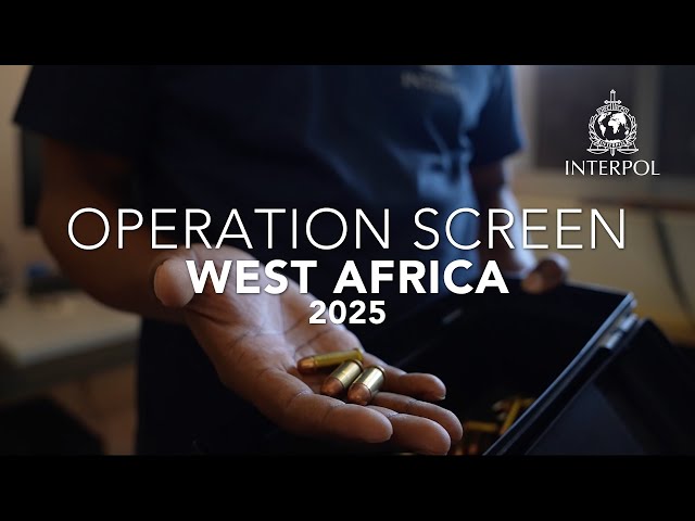 Opération « Screen West Africa 2025 » : l'Interpol effectue 62 arrestations et des saisies d'ampleur