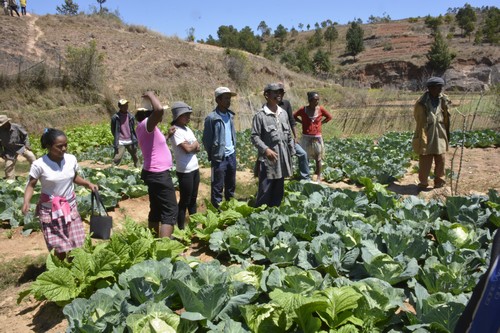 Sommet UA/UE: près d’Antananarivo, une formation agricole illustre le partenariat Madagascar-Europe