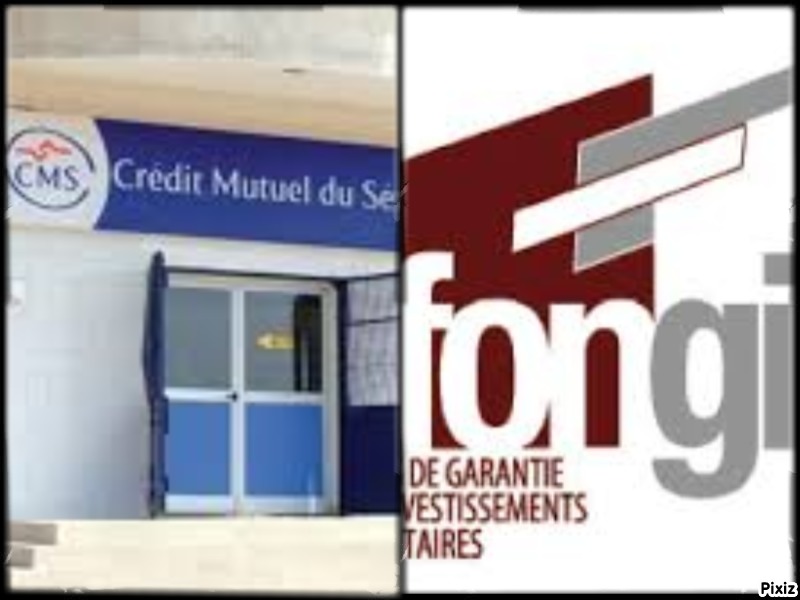 Conflit judiciaire : le Fongip réclame 1,5 milliard de F CFA au Crédit mutuel du Sénégal
