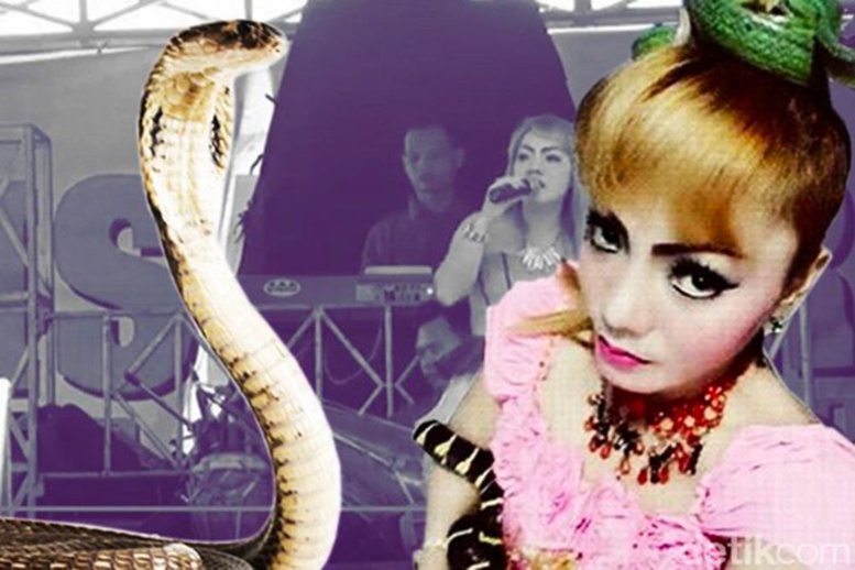 Mordue par un cobra, une chanteuse termine son concert avant de mourir Mordue par un cobra, une chanteuse termine son concert avant de mourir