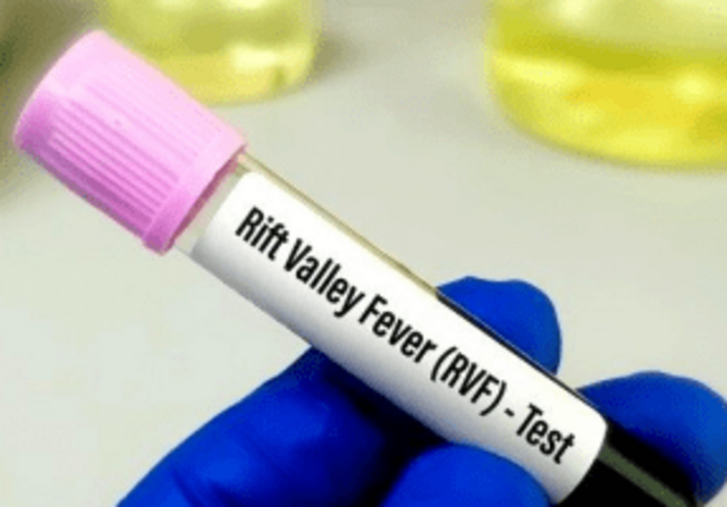 Fièvre de la Vallée du Rift : 5 nouveaux cas positifs recensés Fièvre de la Vallée du Rift : 5 nouveaux cas positifs recensés