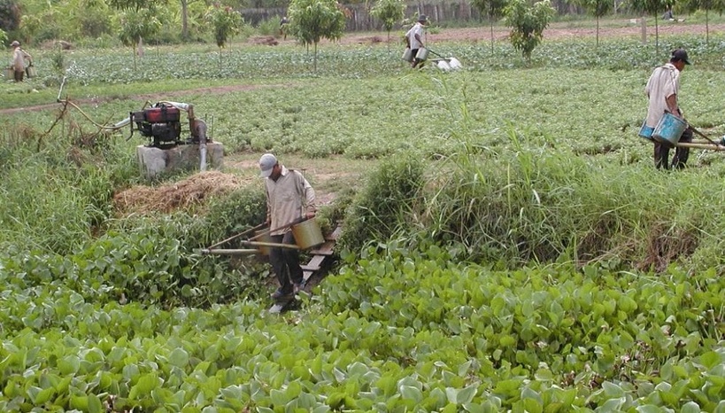 L'Union européenne continue d'exporter des pesticides interdits sur son territoire vers l'Afrique L'Union européenne continue d'exporter des pesticides interdits sur son territoire vers l'Afrique