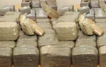 2 tonnes de drogues saisies au premier trimestre de 2016, (Douane) 2 tonnes de drogues saisies au premier trimestre de 2016, (Douane)