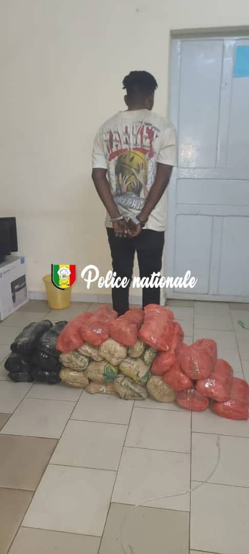 Fatick : 25,5 kg de chanvre indien saisis, un suspect arrêté