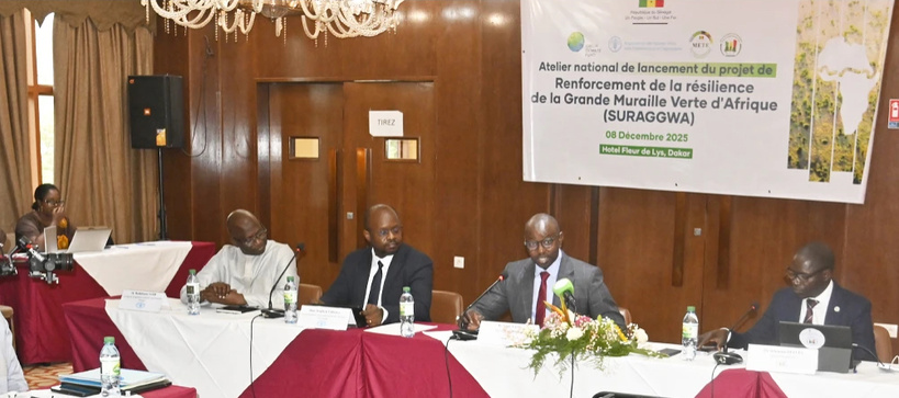 Grande muraille verte : le Sénégal va restaurer 80 000 hectares de terres dégradées Grande muraille verte : le Sénégal va restaurer 80 000 hectares de terres dégradées