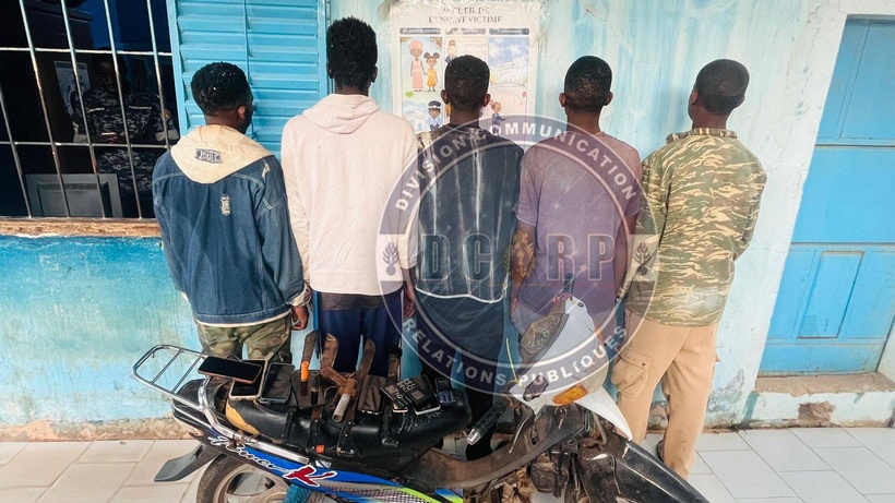 Vol de bétail: un réseau de malfaiteurs démantelé dans le secteur de Sangalkam Vol de bétail: un réseau de malfaiteurs démantelé dans le secteur de Sangalkam