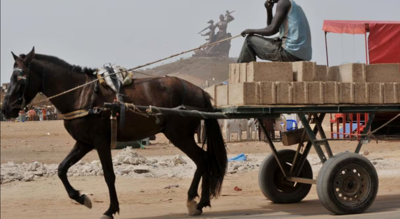 Transport à traction animale : le ministre de l’Intérieur rappelle les règles et sanctions contre la maltraitance des équidés Transport à traction animale : le ministre de l’Intérieur rappelle les règles et sanctions contre la maltraitance des équidés