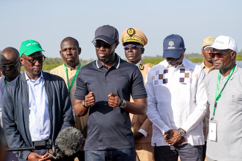 Coubalan : le Président Bassirou Diomaye Faye annonce la mise en place de coopératives agricoles communautaires Coubalan : le Président Bassirou Diomaye Faye annonce la mise en place de coopératives agricoles communautaires