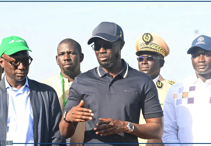 Casamance : 1 057 hectares sauvés de la salinisation grâce aux digues anti-sel de Coubalan