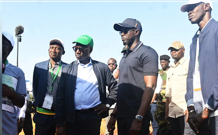 Plan Diomaye pour la Casamance : le PROVALE-CV crée près de 4 000 emplois directs à Ziguinchor