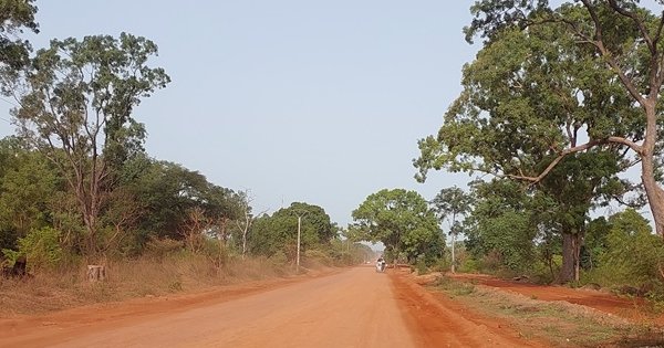 Désenclavement de la Casamance : Bassirou Dioumaye Faye lance le chantier de la route Sandiniéry-Tanaff
