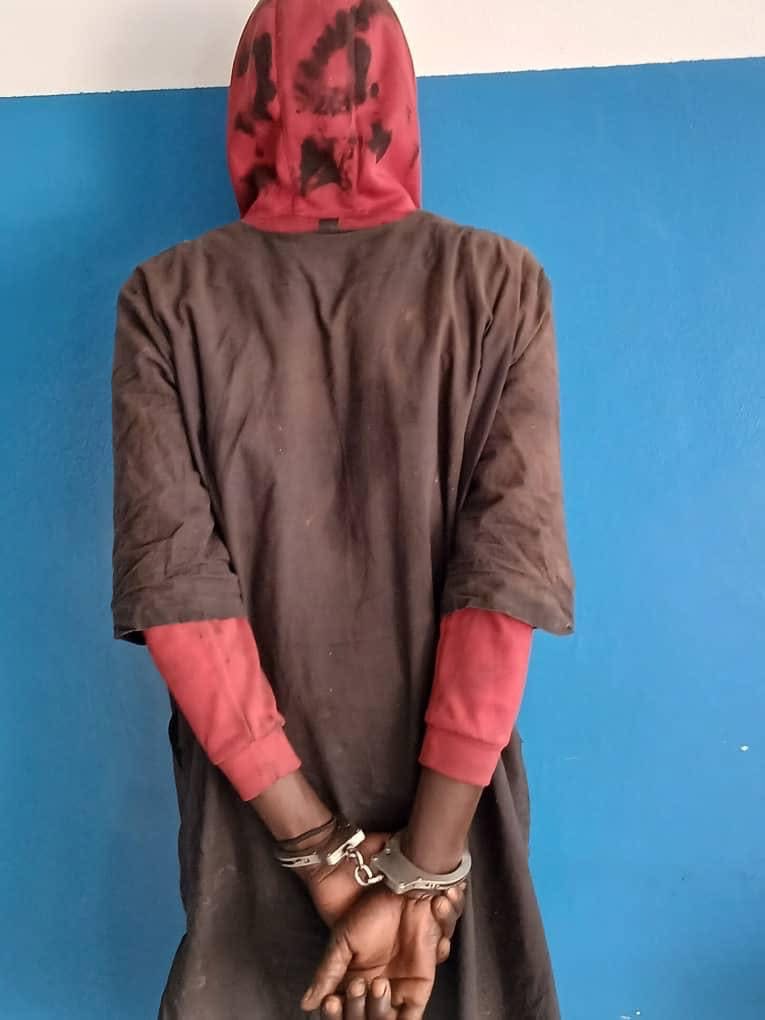 Golf Sud : un individu arrêté pour abattage clandestin et vente de viande impropre