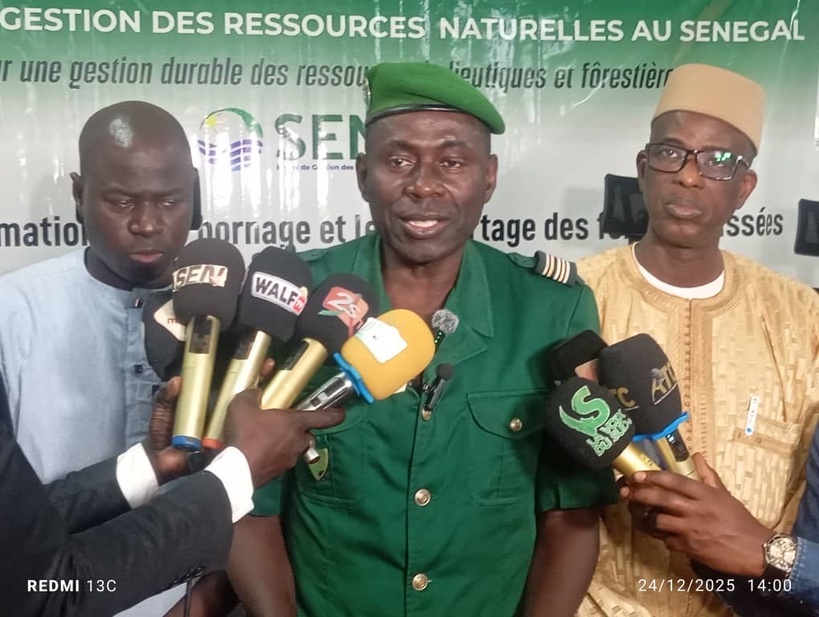 Protection de l'environnement à Kolda : le pancartage de trois forêts classées pour sauver les écosystèmes menacés Protection de l'environnement à Kolda : le pancartage de trois forêts classées pour sauver les écosystèmes menacés