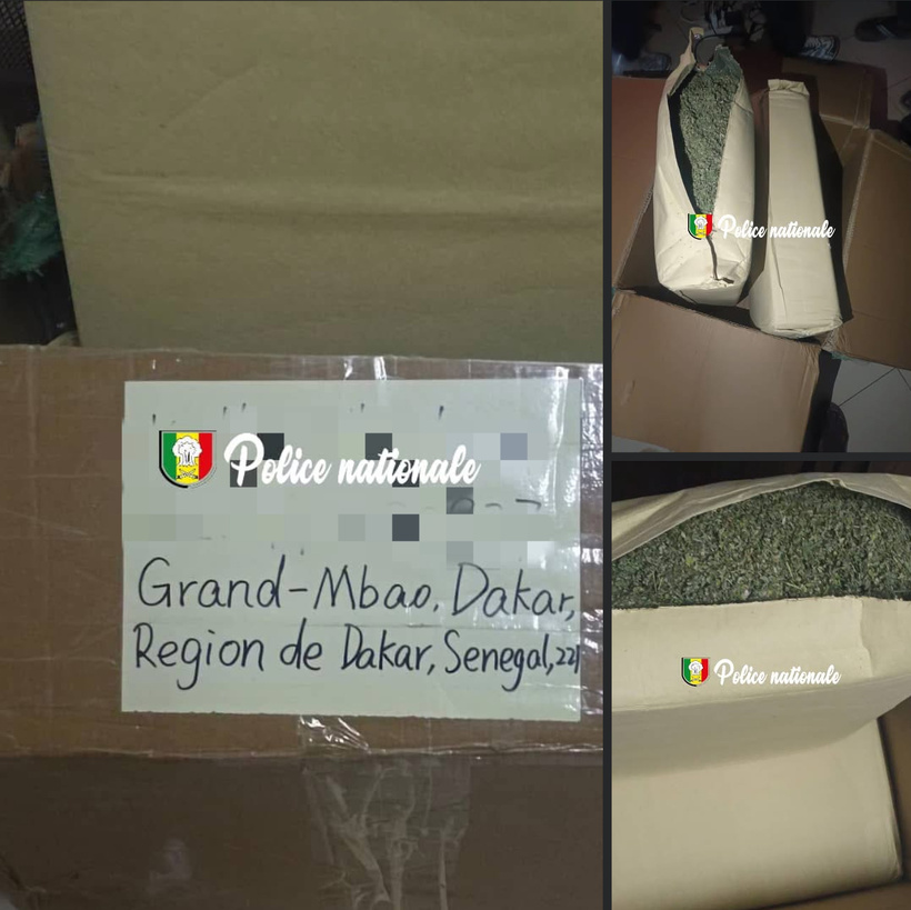 Trafic de drogue : 17 kg de kush saisis dans un colis venu d’Asie à Dakar Trafic de drogue : 17 kg de kush saisis dans un colis venu d’Asie à Dakar
