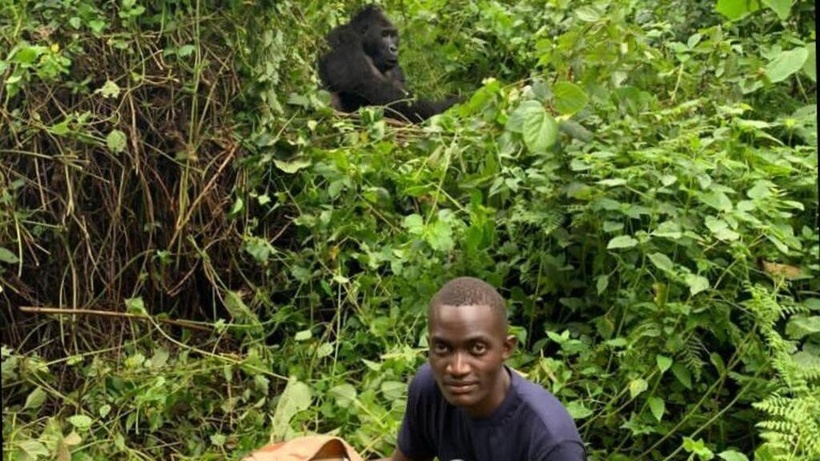 Est de la RDC: protéger la faune de la guerre est «un grand défi», souligne un garde forestier Est de la RDC: protéger la faune de la guerre est «un grand défi», souligne un garde forestier