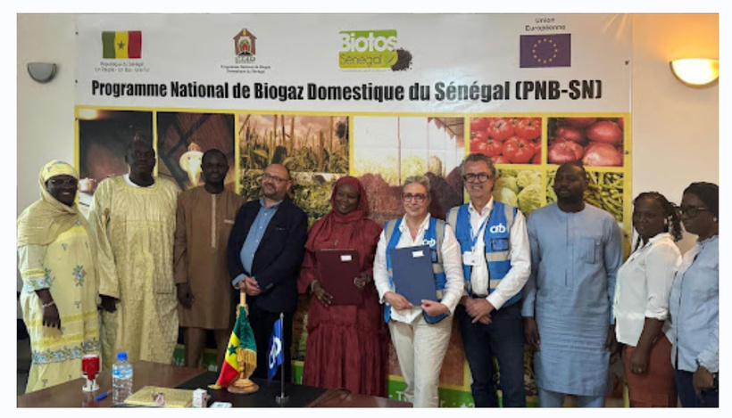 Mangrove et Biogaz : le Sénégal conclut des accords de crédits carbone avec une société japonaise