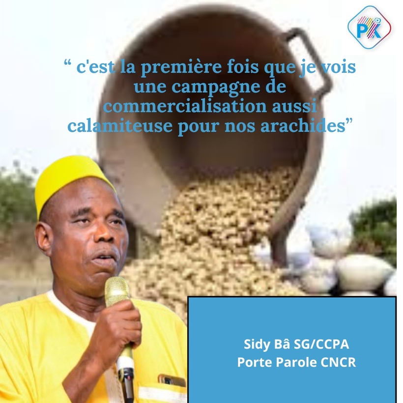  Sidy Bâ, porte parole du CNCR : « C’est la première fois que je vois une campagne de commercialisation aussi calamiteuse pour nos arachides »