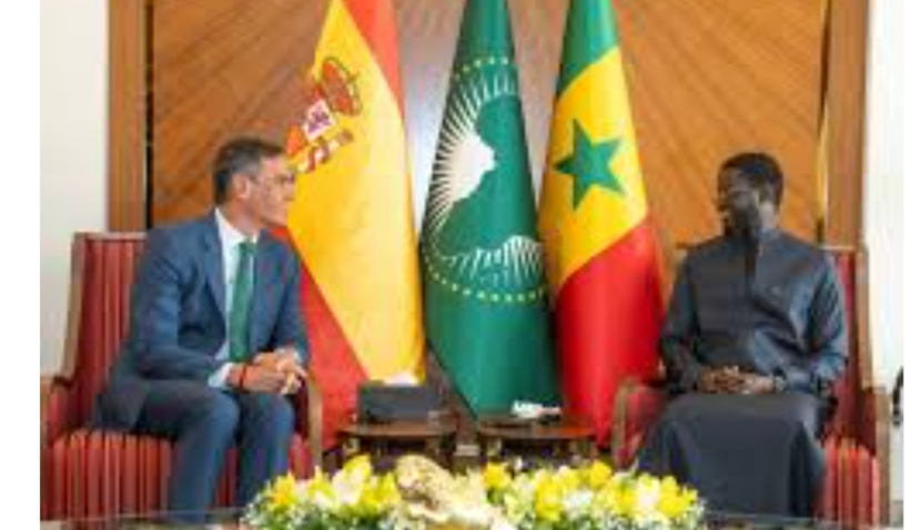 Diplomatie : Pedro Sánchez plaide pour des partenariats stratégiques de l’UE avec le Sénégal Diplomatie : Pedro Sánchez plaide pour des partenariats stratégiques de l’UE avec le Sénégal