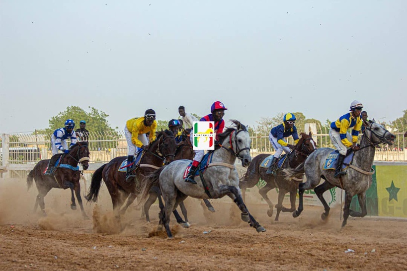 Comité National de Gestion des Courses Hippiques : un arrêté fixe les missions et la composition du bureau Comité National de Gestion des Courses Hippiques : un arrêté fixe les missions et la composition du bureau