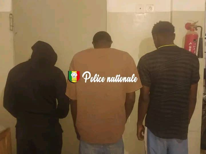 Kolda : trois (03) individus arrêtés et 5,101 kg de chanvre indien saisis