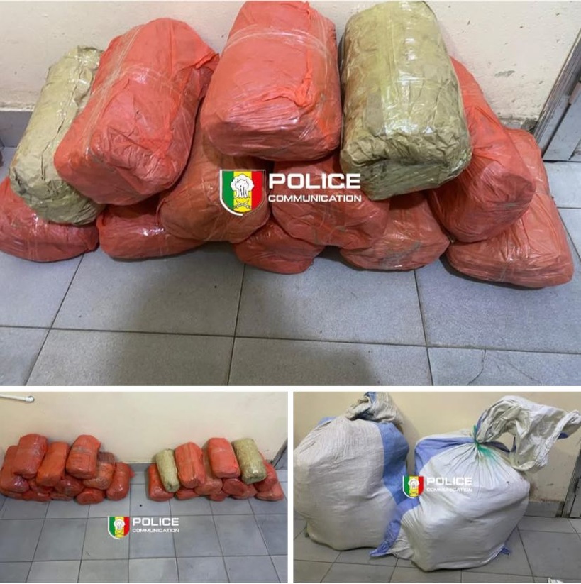 Fatick : 24 kg de chanvre indien saisis à Sirmang par la BRS Fatick : 24 kg de chanvre indien saisis à Sirmang par la BRS