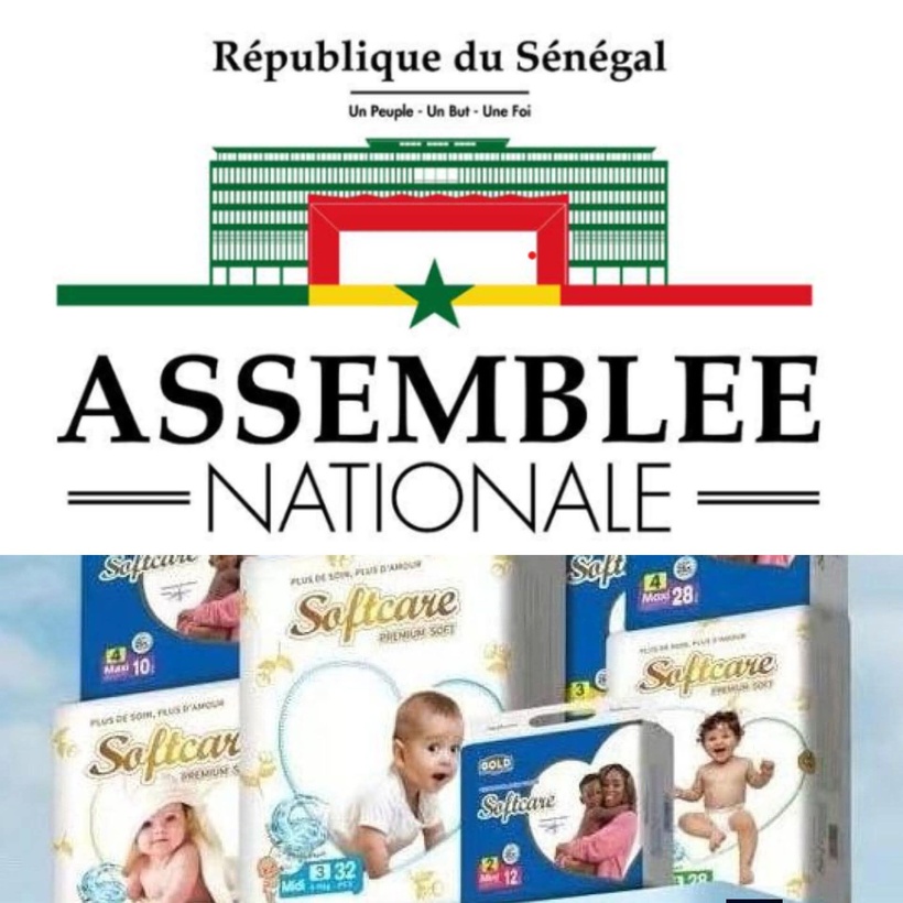 Affaire Softcare : l’Assemblée nationale lance les auditions de la mission d’information parlementaire Affaire Softcare : l’Assemblée nationale lance les auditions de la mission d’information parlementaire