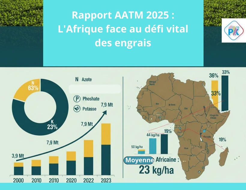 Agriculture africaine : Le défi des engrais en chiffres Agriculture africaine : Le défi des engrais en chiffres