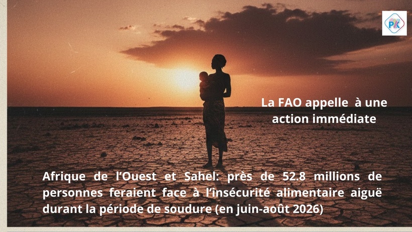 Alerte rouge au Sahel : 53 millions de personnes menacées par la faim dès juin 2026 Alerte rouge au Sahel : 53 millions de personnes menacées par la faim dès juin 2026