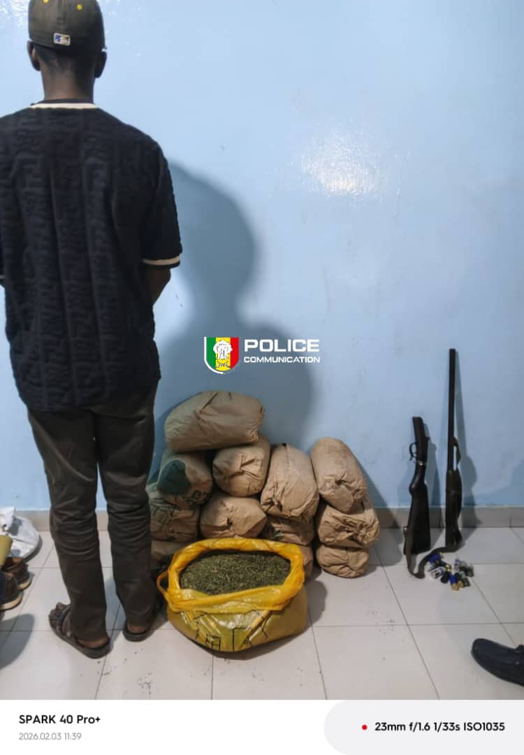 Sédhiou : un cultivateur surpris avec un fusil et de la drogue