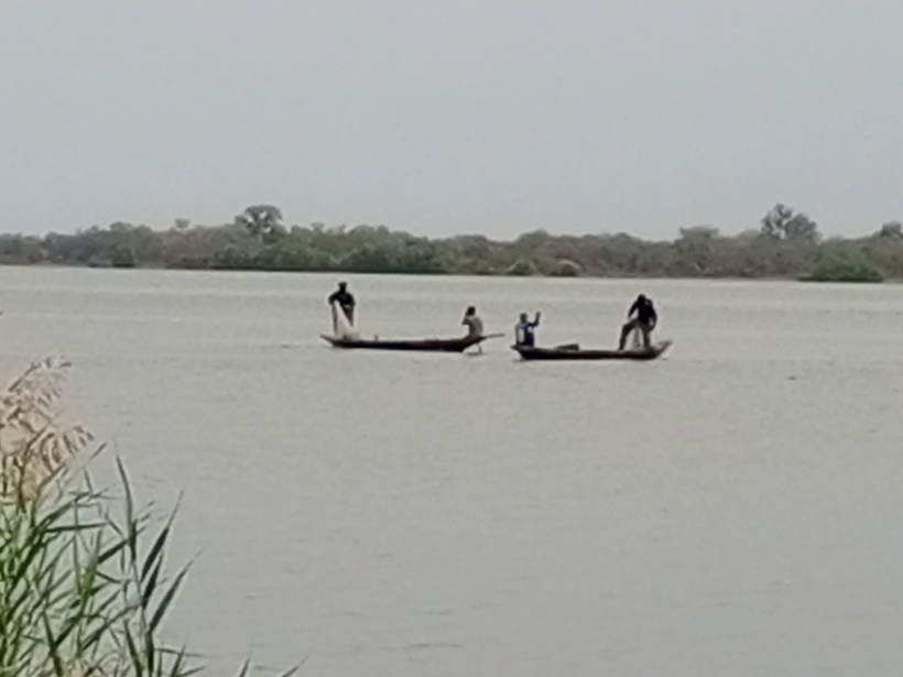 Les Sentinelles du Fleuve : le réveil de la pêche artisanale à Sédhiou Les Sentinelles du Fleuve : le réveil de la pêche artisanale à Sédhiou