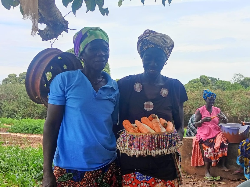 Sédhiou : le projet AVENIR transforme l'agriculture rurale par l'innovation et le leadership Sédhiou : le projet AVENIR transforme l'agriculture rurale par l'innovation et le leadership