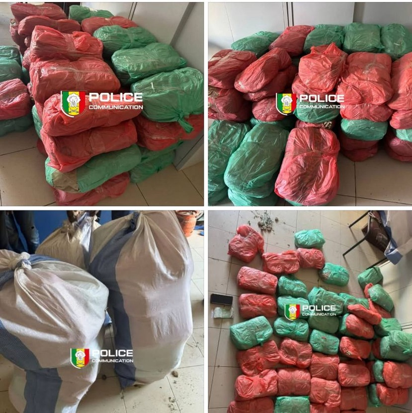 Keur Massar : 56 kg de chanvre indien saisis, un individu placé en garde à vue Keur Massar : 56 kg de chanvre indien saisis, un individu placé en garde à vue