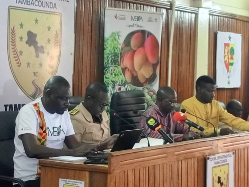 Sols, eau et nutrition : Comment le projet AVENIR booste l'autonomie des femmes et des jeunes à Goudiry et Tamba Sols, eau et nutrition : Comment le projet AVENIR booste l'autonomie des femmes et des jeunes à Goudiry et Tamba