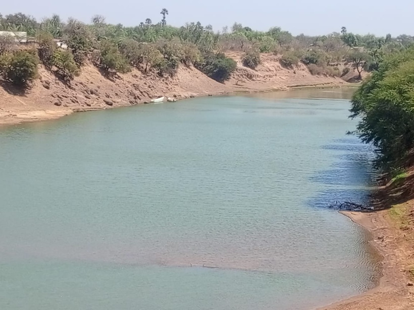 Production de la banane: ​le cri du cœur des acteurs de Gouloumbou