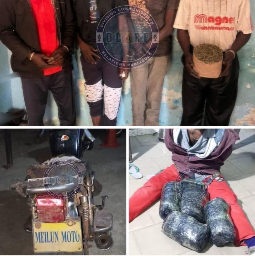 ​Sédhiou : cinq individus interpellés, cinq kg de chanvre indien saisis