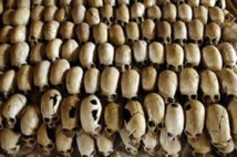 Génocide rwandais: deux anciens bourgmestres face à la justice française Génocide rwandais: deux anciens bourgmestres face à la justice française