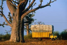 Tourisme sénégalais : la menace terroriste nuit à ce secteur selon le Dg de la Sapco.