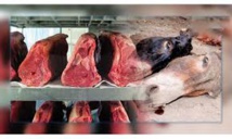 ​20 tonnes de viande d’âne en partance pour la Chine saisies