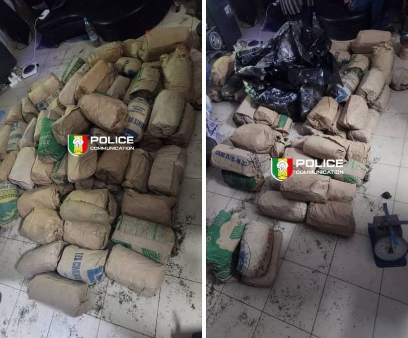 Thiaroye : un individu arrêté avec 118 kg de chanvre indien, son présumé complice recherché Thiaroye : un individu arrêté avec 118 kg de chanvre indien, son présumé complice recherché