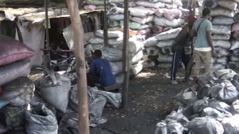 Thiès : les vendeurs de charbon et exploitants forestiers contestent les nouvelles réformes de l'État Thiès : les vendeurs de charbon et exploitants forestiers contestent les nouvelles réformes de l'État