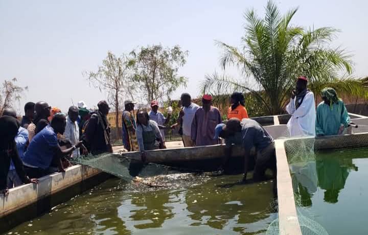 Coopération agricole : une délégation de Fafacourou en immersion au DAC de Séfa