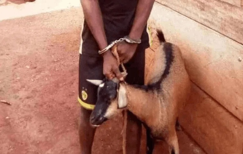 Zac Mbao : un présumé voleur de chèvre grièvement blessé après un lynchage Zac Mbao : un présumé voleur de chèvre grièvement blessé après un lynchage