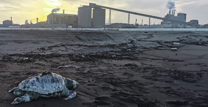 Tunisie: la justice refuse de mettre à l'arrêt l'usine d'engrais phosphatés de Gabès accusée de pollution